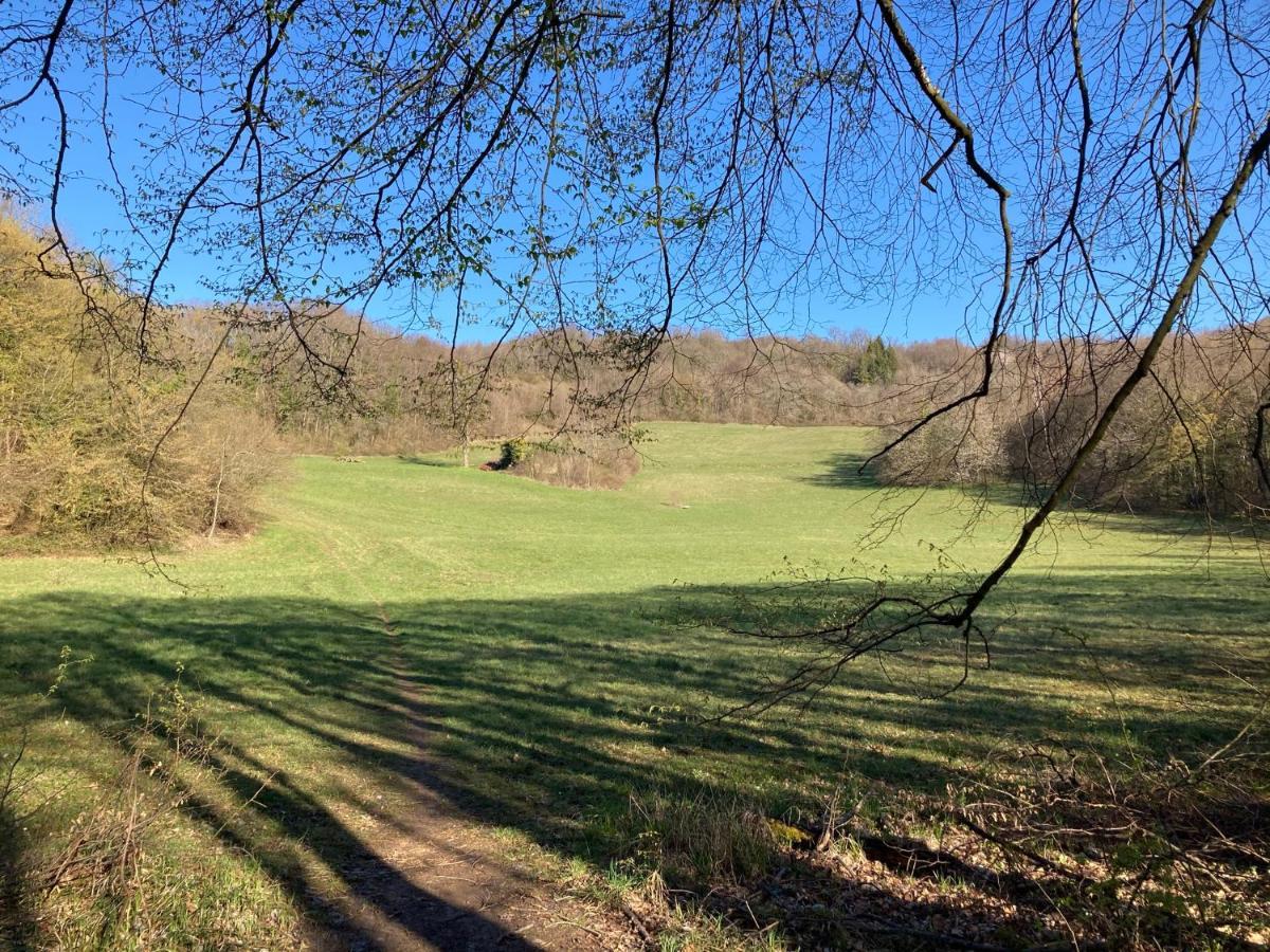 Gîte partagé Tresserve Esterno foto