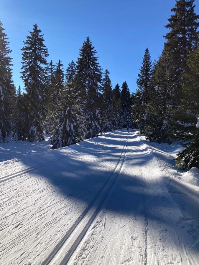 Gîte partagé Tresserve Esterno foto